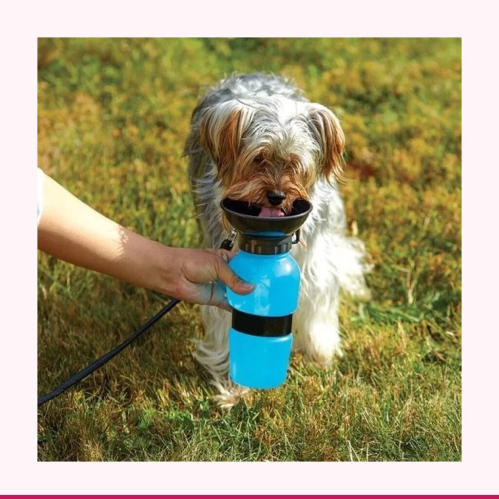 Bebedero Portátil para Perros Aqua Dog sin Derrames