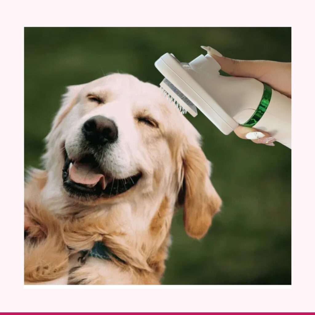 Cepillo Secador 2 en 1 para Perros y Gatos — vista 4